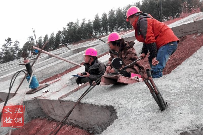 1500859573305568.jpg 圖片關鍵詞